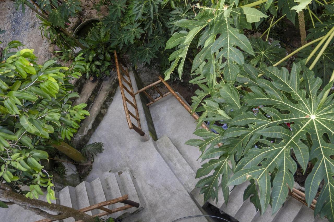 Хостел Deishaview Jungle Тау