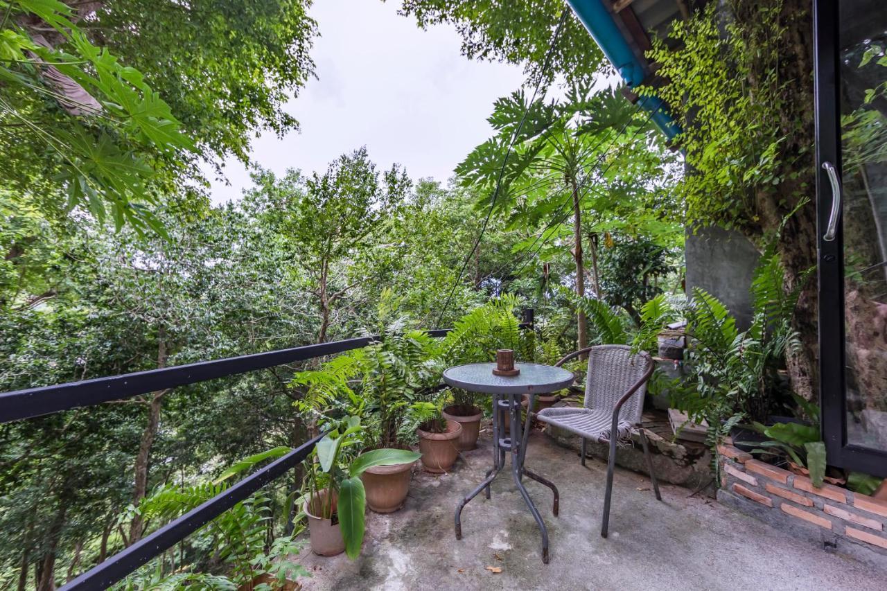 Deishaview Jungle Тау